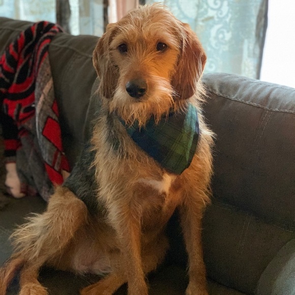 Meet your Posher, Alex - Picture 1 of 1